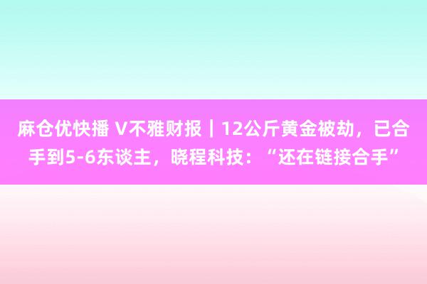 麻仓优快播 V不雅财报｜12公斤黄金被劫，已合手到5-6东谈主，晓程科技：“还在链接合手”