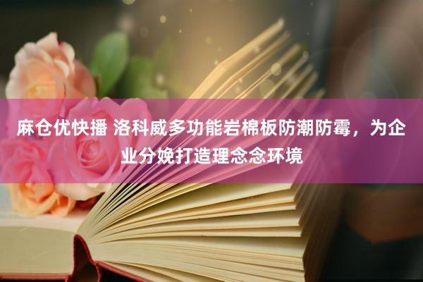 麻仓优快播 洛科威多功能岩棉板防潮防霉，为企业分娩打造理念念环境