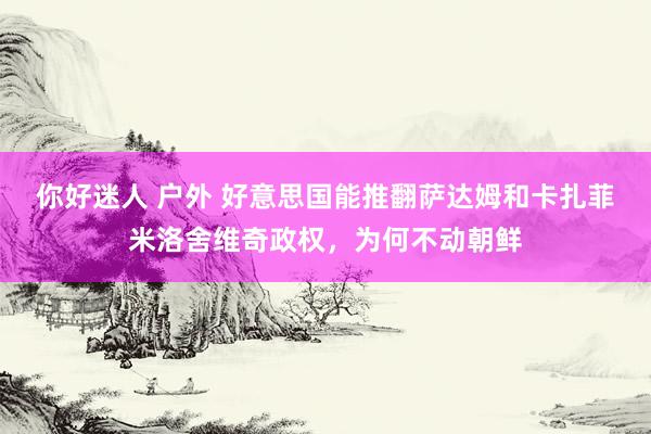 你好迷人 户外 好意思国能推翻萨达姆和卡扎菲米洛舍维奇政权，为何不动朝鲜