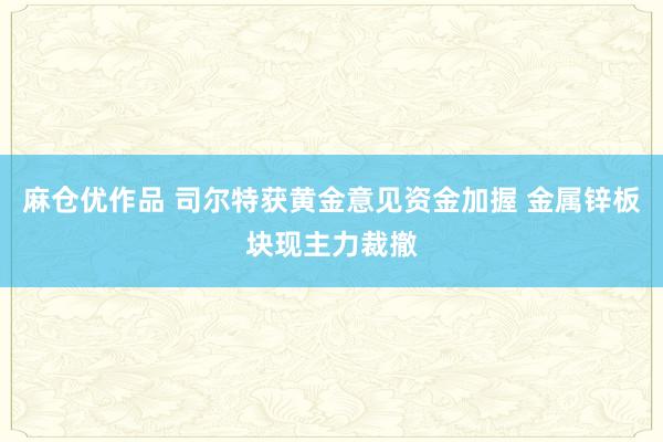 麻仓优作品 司尔特获黄金意见资金加握 金属锌板块现主力裁撤