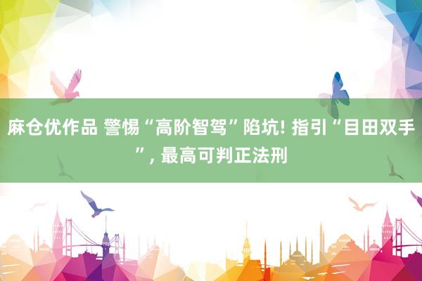 麻仓优作品 警惕“高阶智驾”陷坑! 指引“目田双手”, 最高可判正法刑